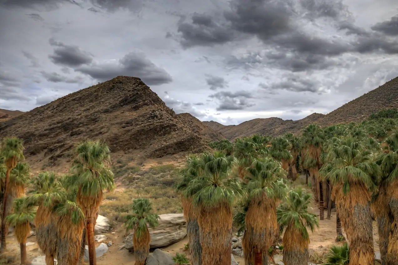 Ten Tips for Tiptoeing through the Oases of the Palm Springs Area